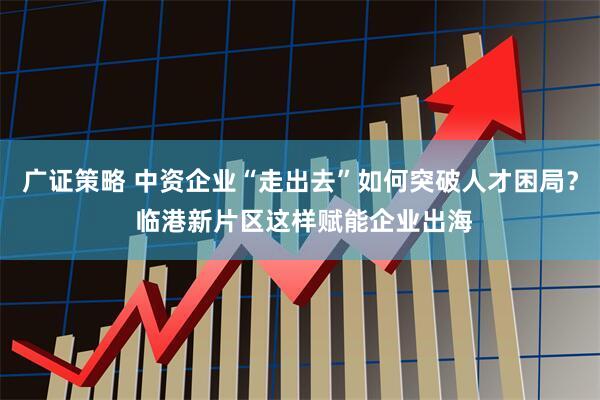 广证策略 中资企业“走出去”如何突破人才困局？ 临港新片区这样赋能企业出海