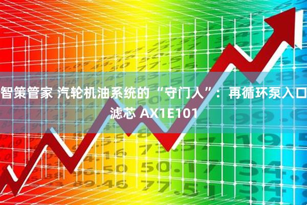 智策管家 汽轮机油系统的 “守门人”：再循环泵入口滤芯 AX1E101